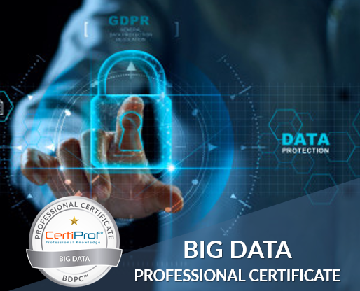 Profesional Certificado en BIG DATA & Analítica